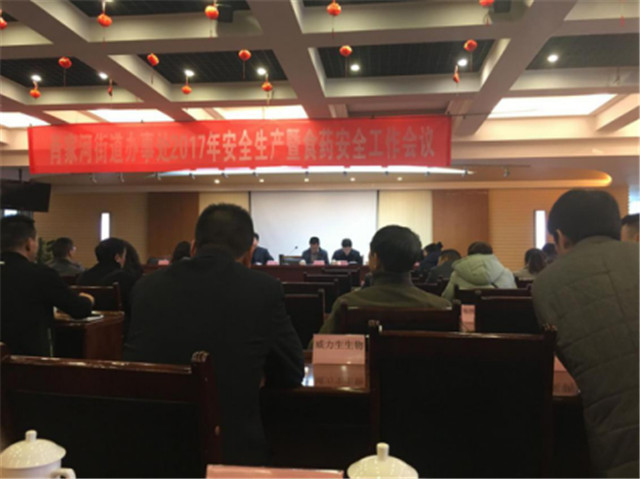 2017ʳҩÄþ¾²ÊÂÇ鼯»á